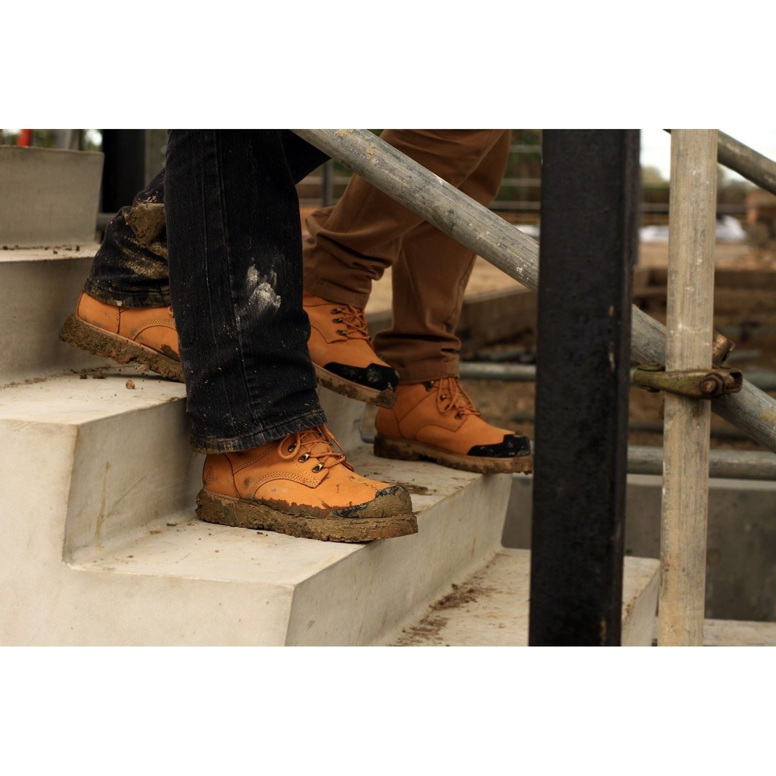 Amblers Safety Men's FS226 Industrial Safety Boot in Honey
