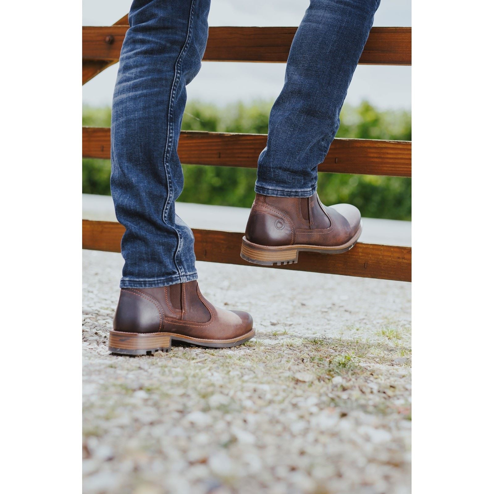 Cotswold Men's Worcester Boot in Brown